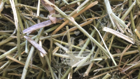 Nestmaterial Sisal Fibre 36PS Nestmaterial für...