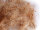 Nestmaterial Sisal Fibre 07CS Cocco-Sisal 500g