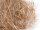 Nestmaterial Sisal Fibre 08CSMB Cocco-Sisal-Melic-Maize Bract 500g