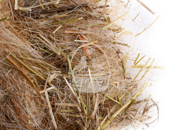 Nestmaterial Sisal Fibre 37MPS Nestmaterial für Agaporniden 250g