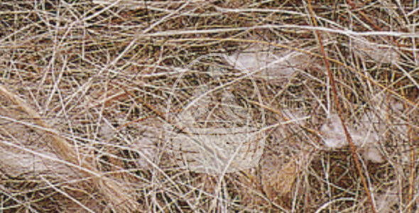 Nestmaterial Sisal Fibre 12AV Mixed Animal-Vegatable 500g