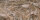Nestmaterial Sisal Fibre 12AV Mixed Animal-Vegatable 500g