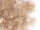 Nestmaterial Sisal Fibre 35MACSJ-50 Kokos-Sisal-Jute Mix mit Aktiv Formel 50g