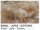 Nestmaterial Sisal Fibre 05SJC Sisal-Juta-Cotone 500g