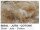 Nestmaterial Sisal Fibre 05SJC Sisal-Juta-Cotone 500g