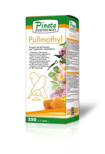 Pineta Pullmothyl 24ml
