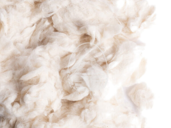 Nestmaterial Sisal Fibre 14CT Cotone/Baumwolle 500g