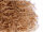 Nestmaterial Sisal Fibre 01J Jute 100g