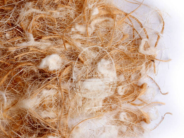 Nestmaterial Sisal Fibre 05SJC Sisal-Juta-Cotone 50g