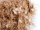 Nestmaterial Sisal Fibre 13JC Juta-Cotone 100g