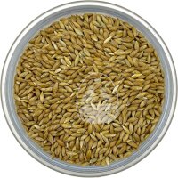 Manitoba Glanzsaat (kanadische Kanariensaat) 1kg