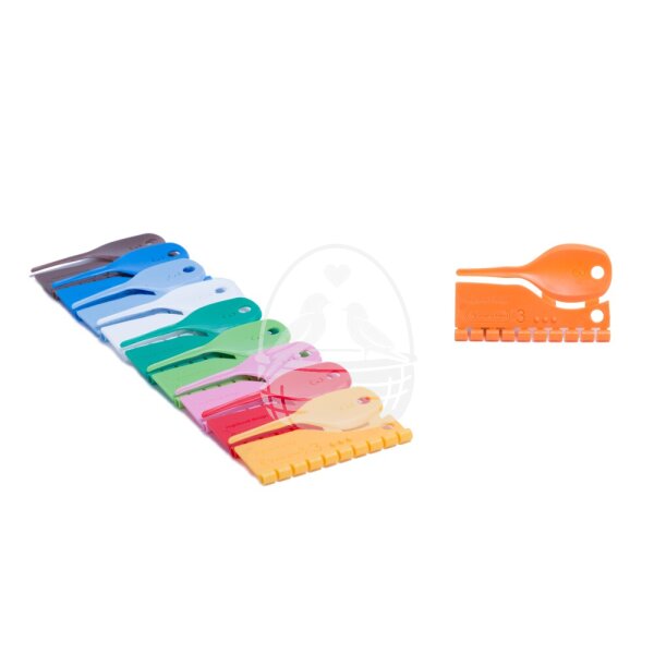 Kunststoff Farbringe Mix für Kanarien 3,0mm 100 Ringe