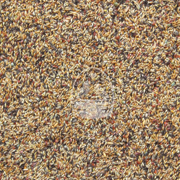 Bird Supreme Kanarien Zucht ohne Rübsen 20kg