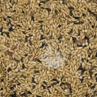 Manitoba Kanarienfutter T3 Platinum 1kg (lose gepackt)