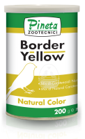 Pineta Border Yellow 200g